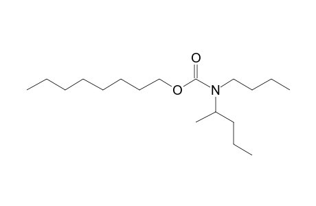 Carbonic acid, monoamide, N-(2-pentyl)-N-butyl-, octyl ester