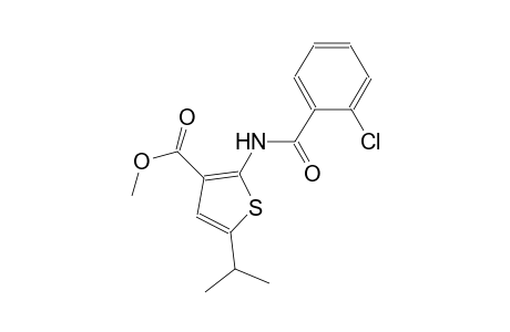 methyl 2-[(2-chlorobenzoyl)amino]-5-isopropyl-3-thiophenecarboxylate