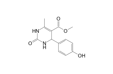 4-(4-hydroxyphenyl)-2-keto-6-methyl-3,4-dihydro-1H-pyrimidine-5-carboxylic acid methyl ester