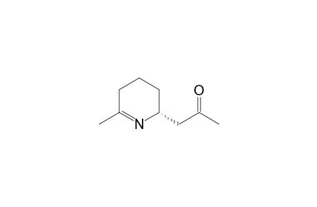 1,2-Dehydropinidinone