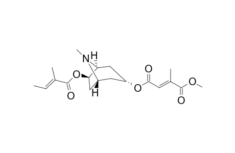 3.alpha.-(1-Methylmesaconyl)-6.beta.-tigloyloxytropane