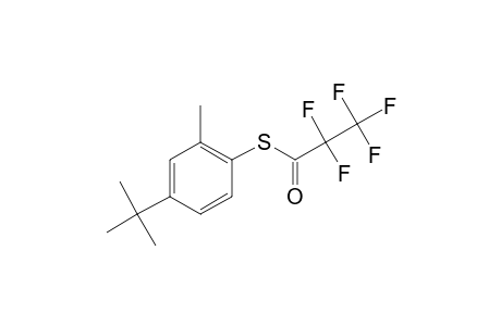 4-Tert-butyl-2-methylthiophenol, S-pentafluoropropionyl-