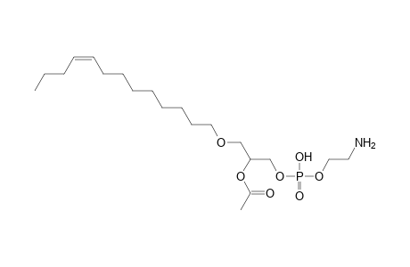 PE O-13:1_2:0