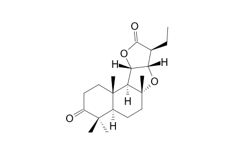 SYMPHYOGYNOLIDE