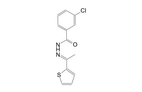 3-chloro-N'-[(E)-1-(2-thienyl)ethylidene]benzohydrazide