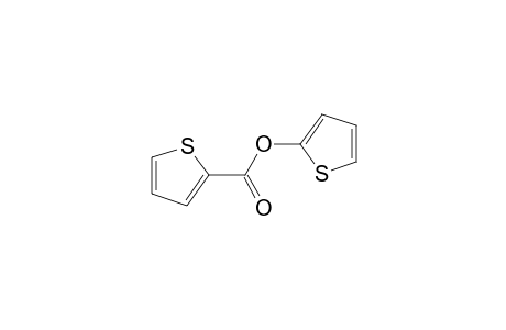 thiophene-2-carboxylic acid 2-thienyl ester