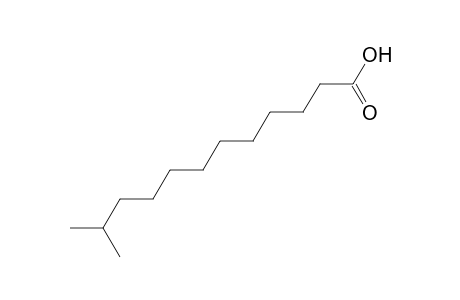 11-methyldodecanoic acid