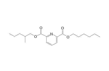 2,6-Pyridinedicarboxylic acid, hexyl 2-methylpentyl ester