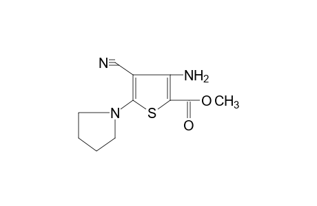 3-amino-4-cyano-5-(1-pyrrolidinyl)-2-thiophenecarboxylic acid, methyl ester