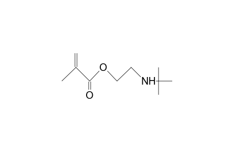 2-(tert-Butylamino)ethyl methacrylate