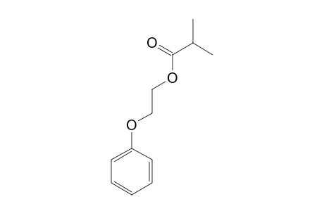 2-Phenoxyethyl isobutyrate