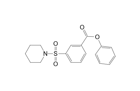 Phenyl 3-(1-piperidinylsulfonyl)benzoate