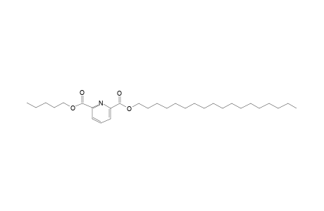 2,6-Pyridinedicarboxylic acid, octadecyl pentyl ester