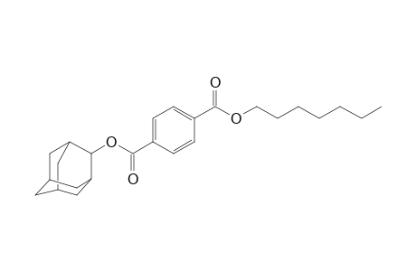 Terephthalic acid, 2-adamantyl heptyl ester