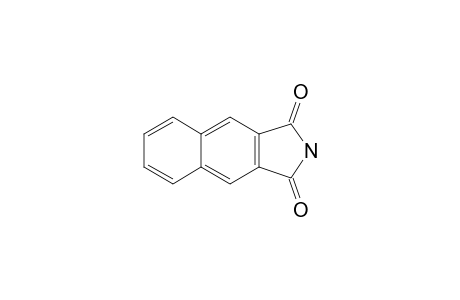 2,3-Naphthalenedicarboximide
