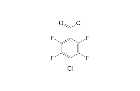 4-Chloro-2,3,5,6-tetrafluorobenzoyl chloride