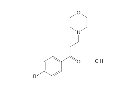 4'-bromo-3-morpholinopropiophenone, hydrochloride