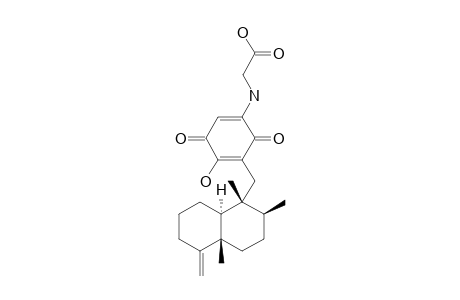 SMENOSPONGINE_B