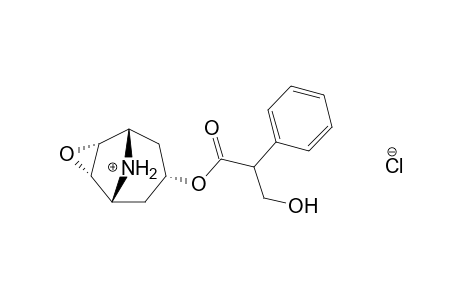 6beta,7beta-EPOXY-1alphaH,5alphaH-NORTROPAN-3alpha-OL, (-)-TROPATE (ESTER),HYDROCHLORIDE