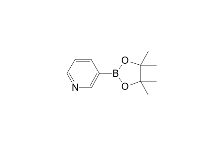 3-(4,4,5,5-Tetramethyl-1,3,2-dioxaborolan-2-yl)pyridine