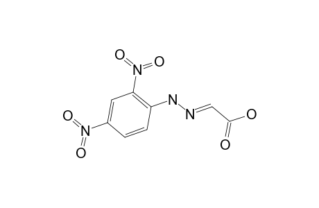 (2E)-2-[(2,4-dinitrophenyl)hydrazinylidene]acetic acid