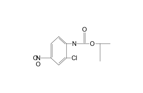 2-chloro-4-nitrocarbanilic acid, isopropyl ester