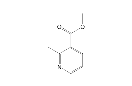 Methyl 2-methylnicotinate