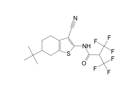 N-(6-tert-butyl-3-cyano-4,5,6,7-tetrahydro-1-benzothiophen-2-yl)-3,3,3-trifluoro-2-(trifluoromethyl)propanamide