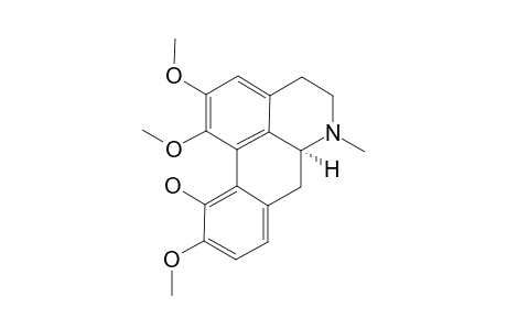 ICD;ISOCORYDINE