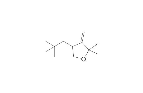 4-(2,2-Dimethylpropyl)-2,2-dimethyl-3-methylenetetrahydrofuran