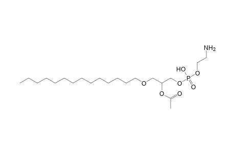 PE O-14:0_2:0