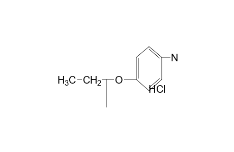 p-sec-butoxyaniline, hydrochloride