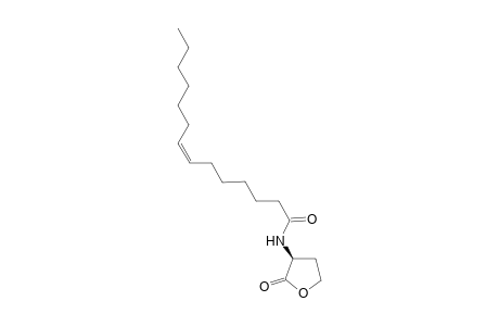 (S)-N-(7Z)-Tetradecenoyl-homoserine lactone