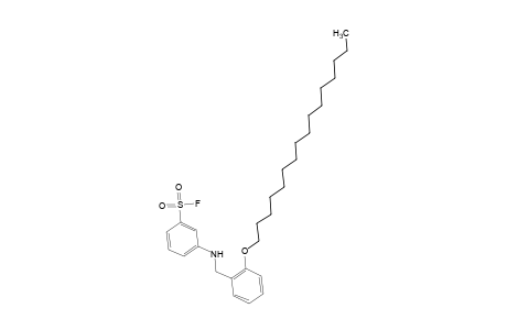 m-{[o-(hexadecyloxy)benzyl]amino}benzenesulfonyl fluoride