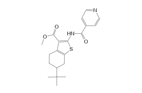 methyl 6-tert-butyl-2-(isonicotinoylamino)-4,5,6,7-tetrahydro-1-benzothiophene-3-carboxylate