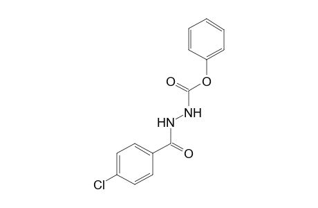 p-chlorobenzoic acid, 2-carboxyhydrazide, phenyl ester