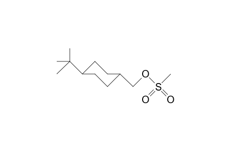 trans-4-tert-Butyl-cyclohexanemethanol methanesulfonate