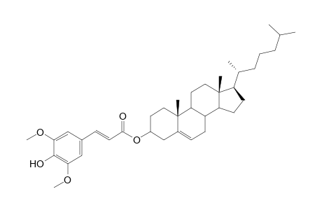 Cholesteryl - 4-Hydroxy-3,5-dimethoxycinnamate