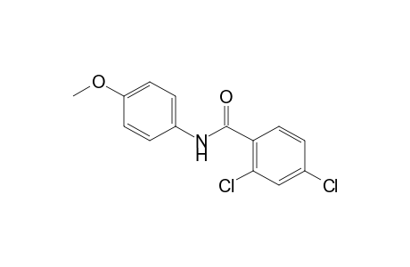 2,4-dichloro-p-benzanisidide