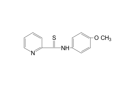 THIO-p-PICOLINANISIDIDE