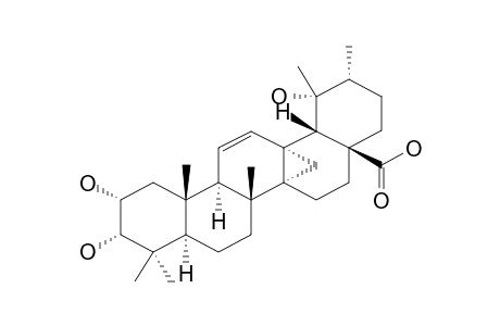 EUSCAPHIC_ACID_C;2-ALPHA,3-ALPHA-DIHYDROXY-EUSCAPHIC_ACID_A;2-ALPHA,3-ALPHA,19-ALPHA-TRIHYDROXY-13-ALPHA,27-CYCLOURS-11-EN-28-OIC_ACID