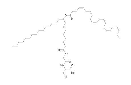 NAGlySer 22:6/24:0