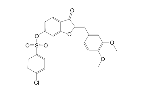 benzenesulfonic acid, 4-chloro-, (2Z)-2-[(3,4-dimethoxyphenyl)methylene]-2,3-dihydro-3-oxobenzofuranyl ester
