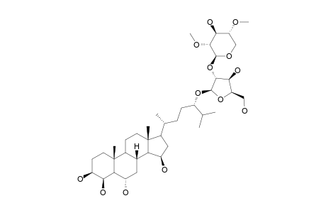 CERTONARDOSIDE-H;(24S)-24-O-[2,4-DI-O-METHYL-BETA-D-XYLOPYRANOSYL-(1->2)-BETA-D-XYLOFURANOSYL]-5-ALPHA-CHOLESTANE-3-BETA,4-BETA,6-ALPHA,15-BETA,24-