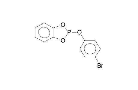 O-PARA-BROMOPHENYLPYROCATECHINEPHOSPHITE