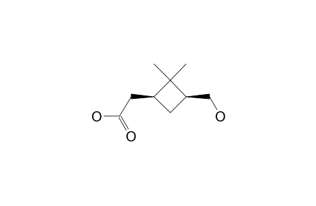 (+-)-cis-3-Hydroxymethyl-2,2-dimethyl-1-cyclobutaneacetic acid