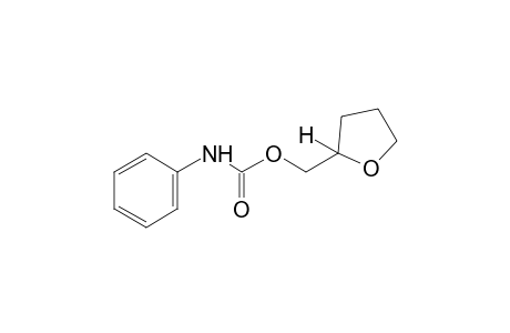 carbanilic acid, tetrahydrofurfuryl ester