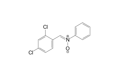 alpha-(2,4-dichlorophenyl)-N-phenylnitrone