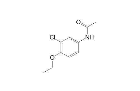 3'-chloro-p-acetophenetidide