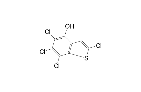 2,5,6,7-TETRACHLOROBENZO[b]THIOPHENE-4-OL